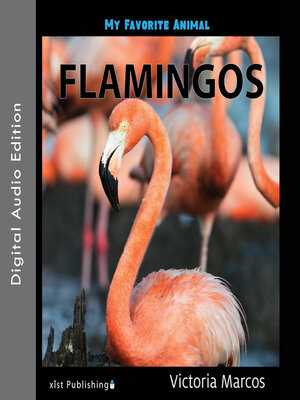 cover image of My Favorite Animal: Flamingos